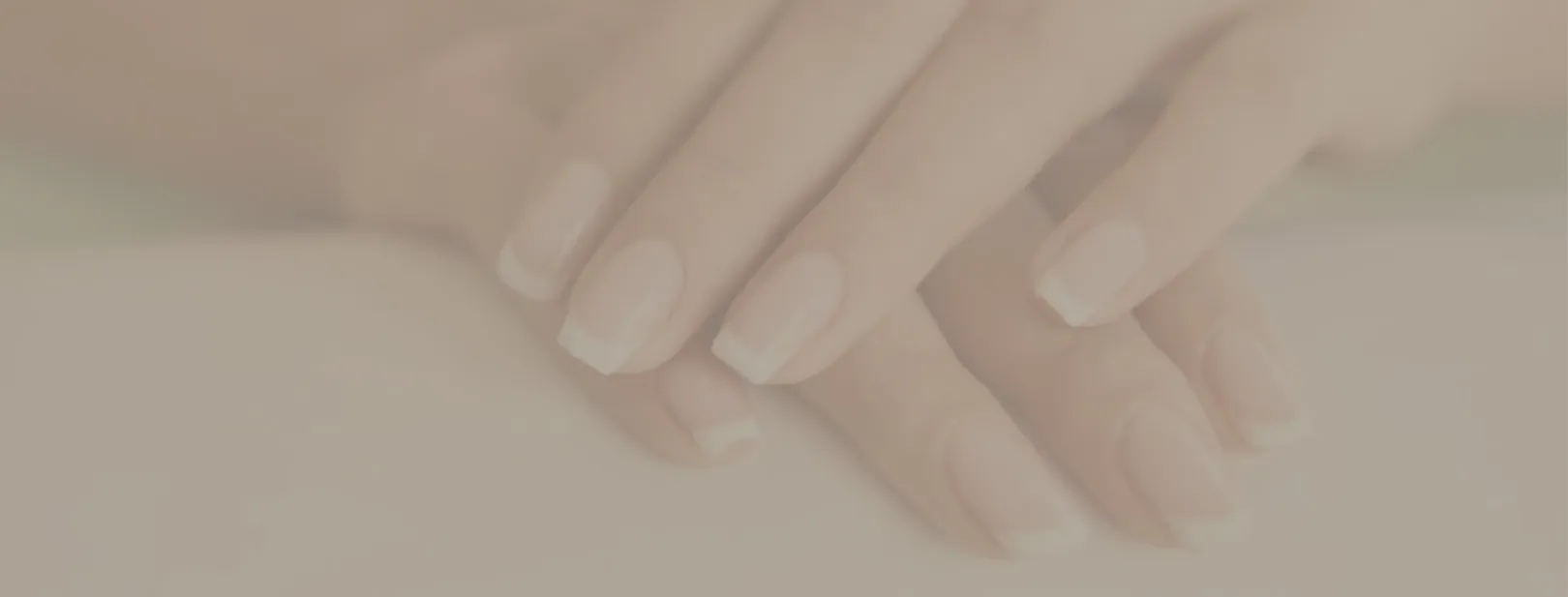 Fondo Contacto Amén